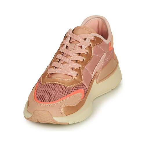 Bullboxer - 263000F5S - Rose