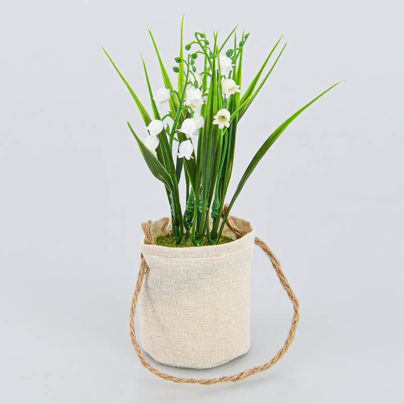 Muguet en pot