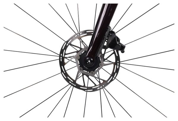 Produit reconditionné · Specialized Roubaix Comp Rival - Vélo de route | Très bon état