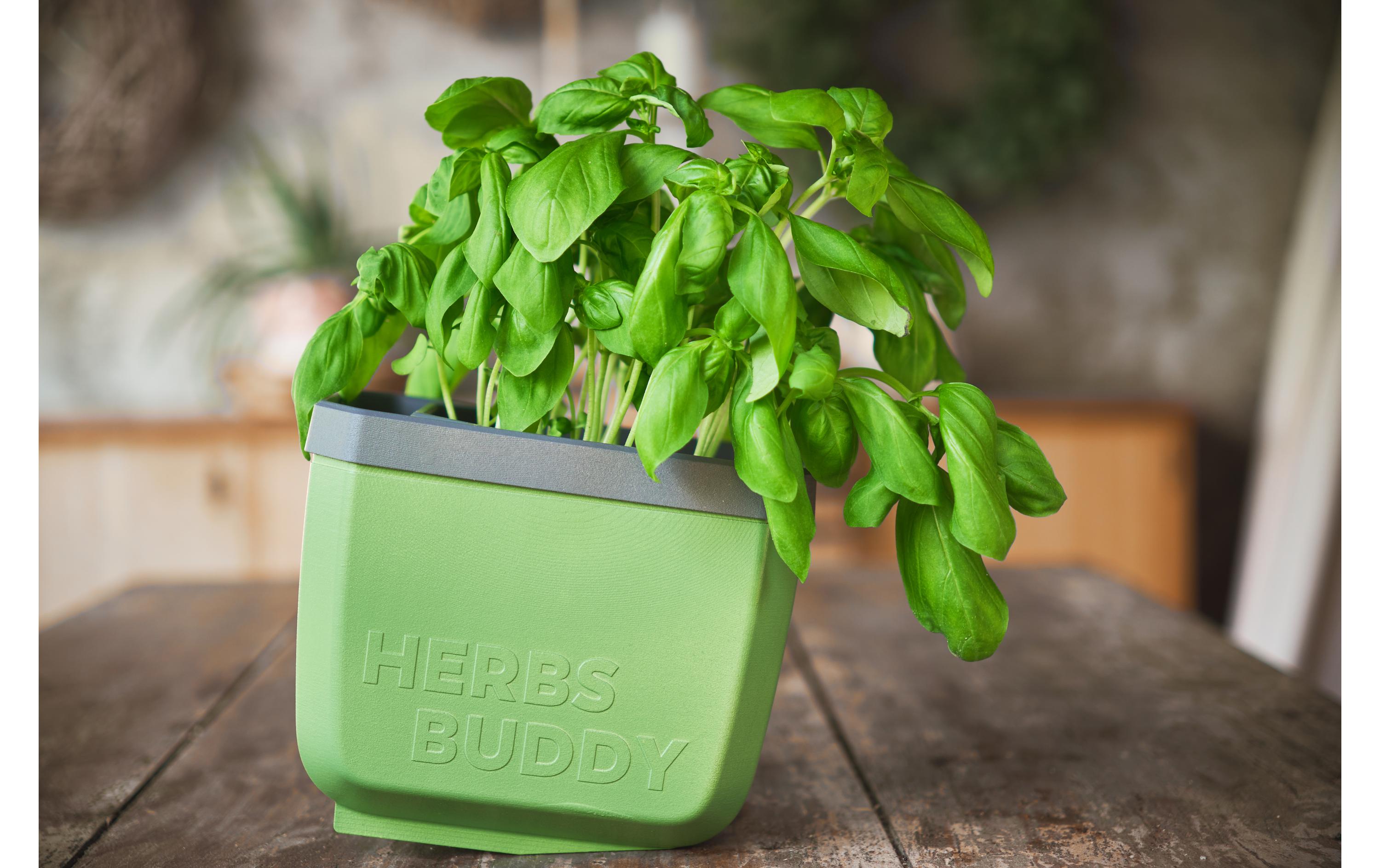 HERBS BUDDY Kräutertopf DunkelgrünKräutertopf mit Wasserreservoir und Kippfunktion