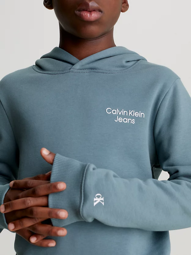 Moletom com capuz em algodão felpudo com logotipo