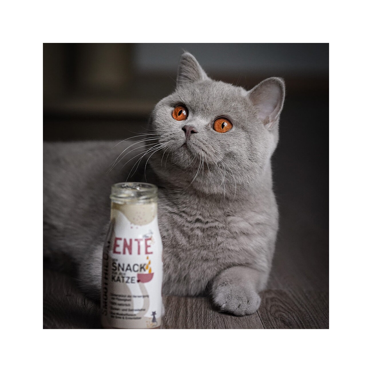 SmoothieCat Ente 12x 150 ml