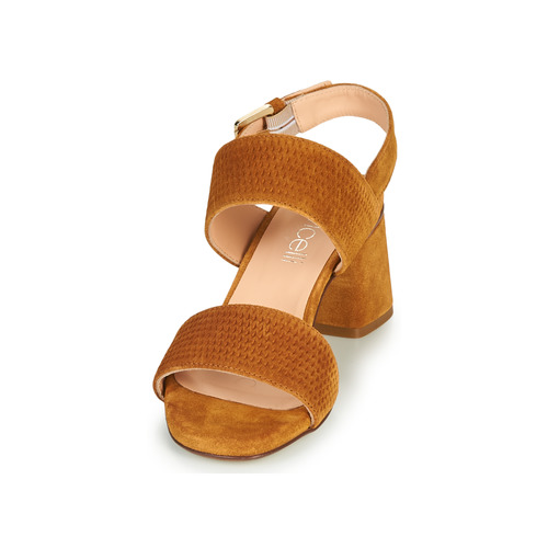 Fericelli - MARRAK - Camel