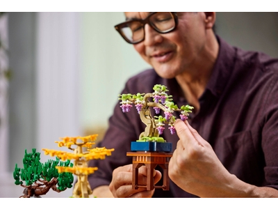 LEGO Mini bonsaiboompjes (10373)