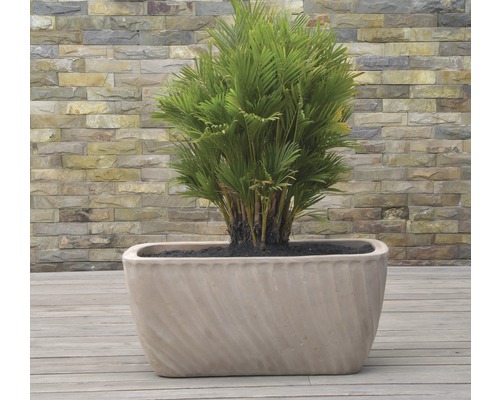 Lafiora plantenbak 45x24x21 cm terra chocolade