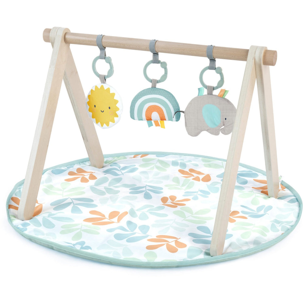 Køb Ingenuity Sun Valley™ Wooden Legetøj Aktivitetsbue & Play Mat