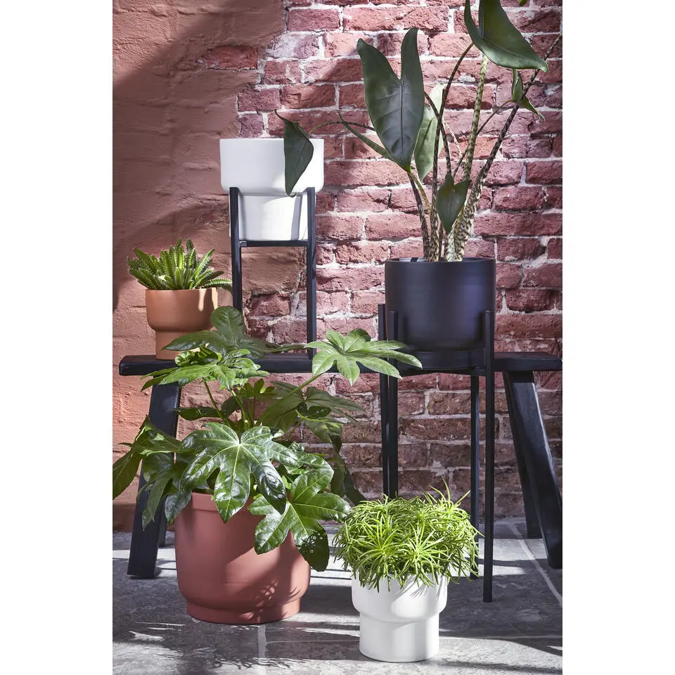 Mica Decorations Ascot Plantenstandaard L41,5 x B41,5 x H50 cm Zwart