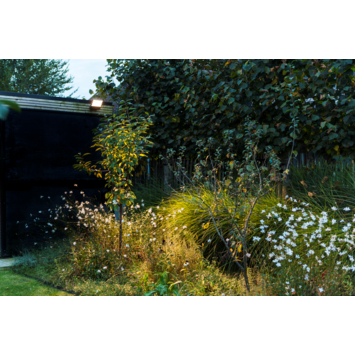 LUTEC wandlamp Atlantis donkergrijs 24W