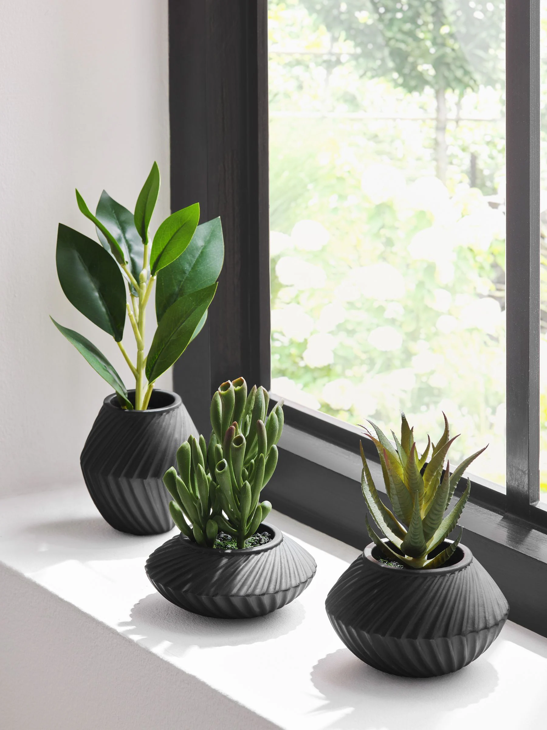 Set of 3 Artificial Succulents In Black Bronx Pots