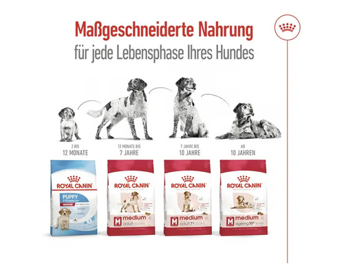ROYAL CANIN Medium Ageing +10 droog hondenvoer, 15 kg