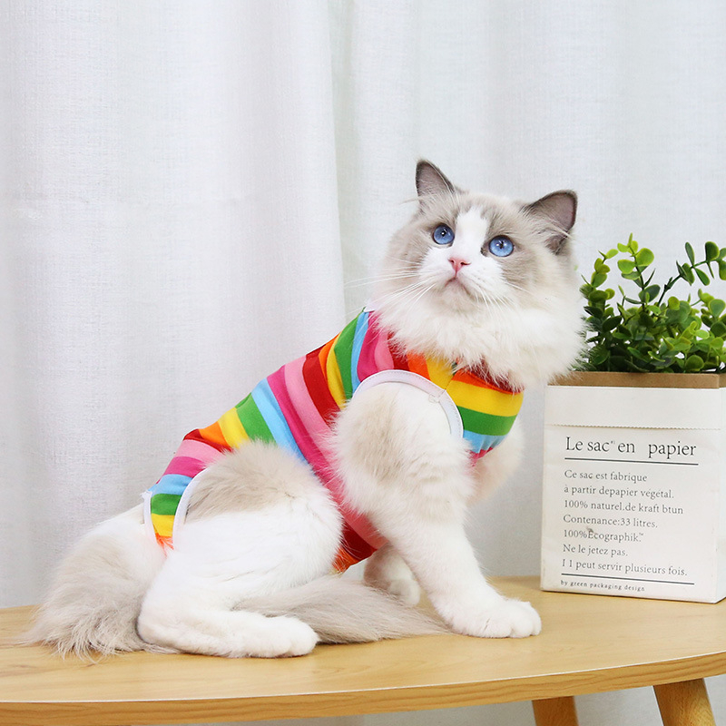 (Gr. L) Stoff Kastrations Body Haustier Schutz Kleidung OP Bauchwunden Leckschutz für Hunde / Katzen - Regenbogen