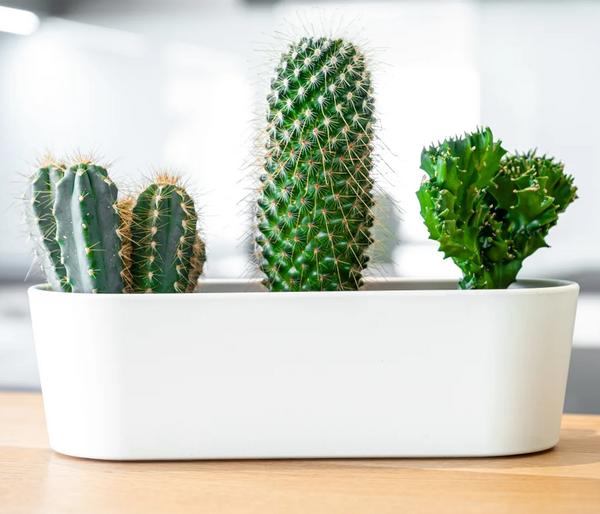LENI Kunststoff-Jardiniere Flori, oval, ca.