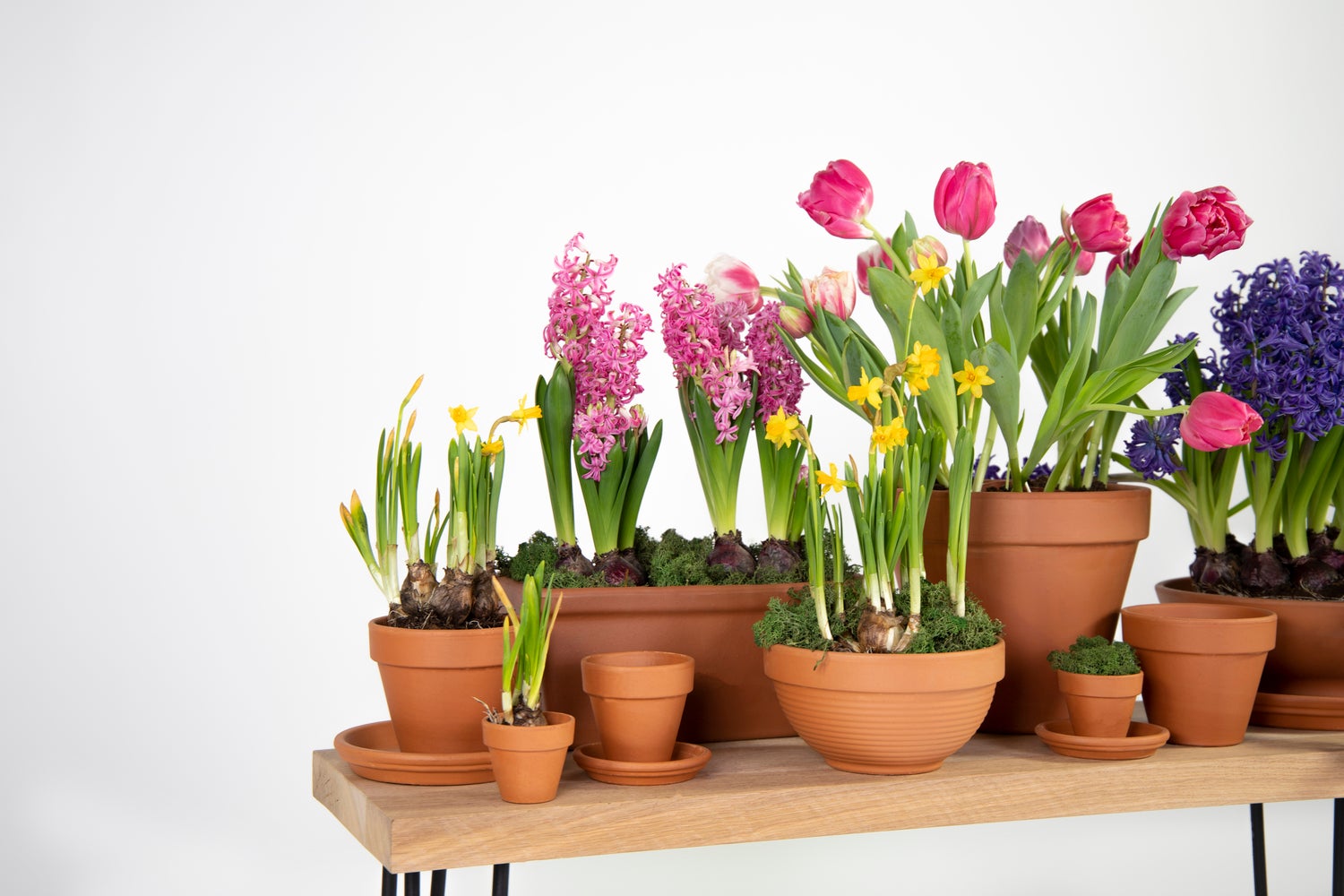 Mega Collections bloempot Sparta bruin D 13,5 H 11,5 cm