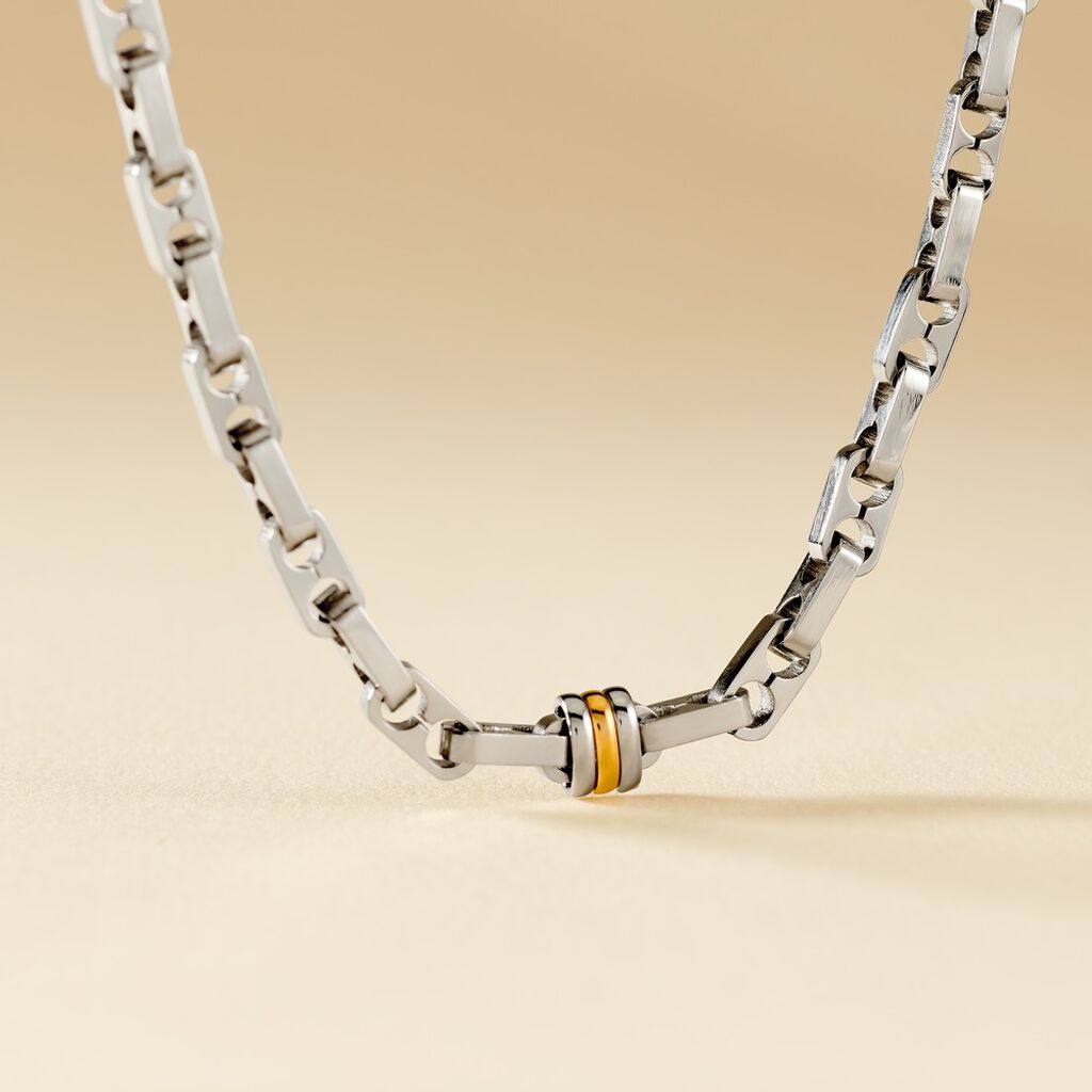 Collier Leandreae Or Acier Bicolore