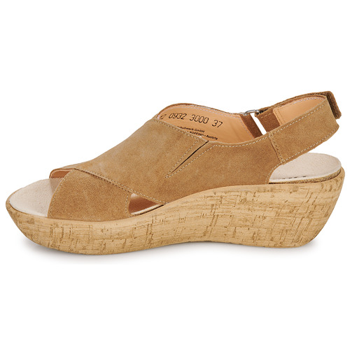 Think - KATE - Camel