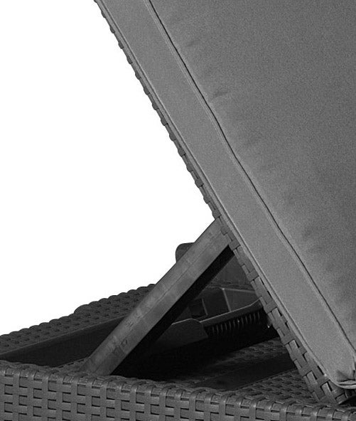 Allibert Daytona ligstoel met rotanlook, inclusief premium kussen - UV- en weerbestendige ligstoel voor zwembad en tuin