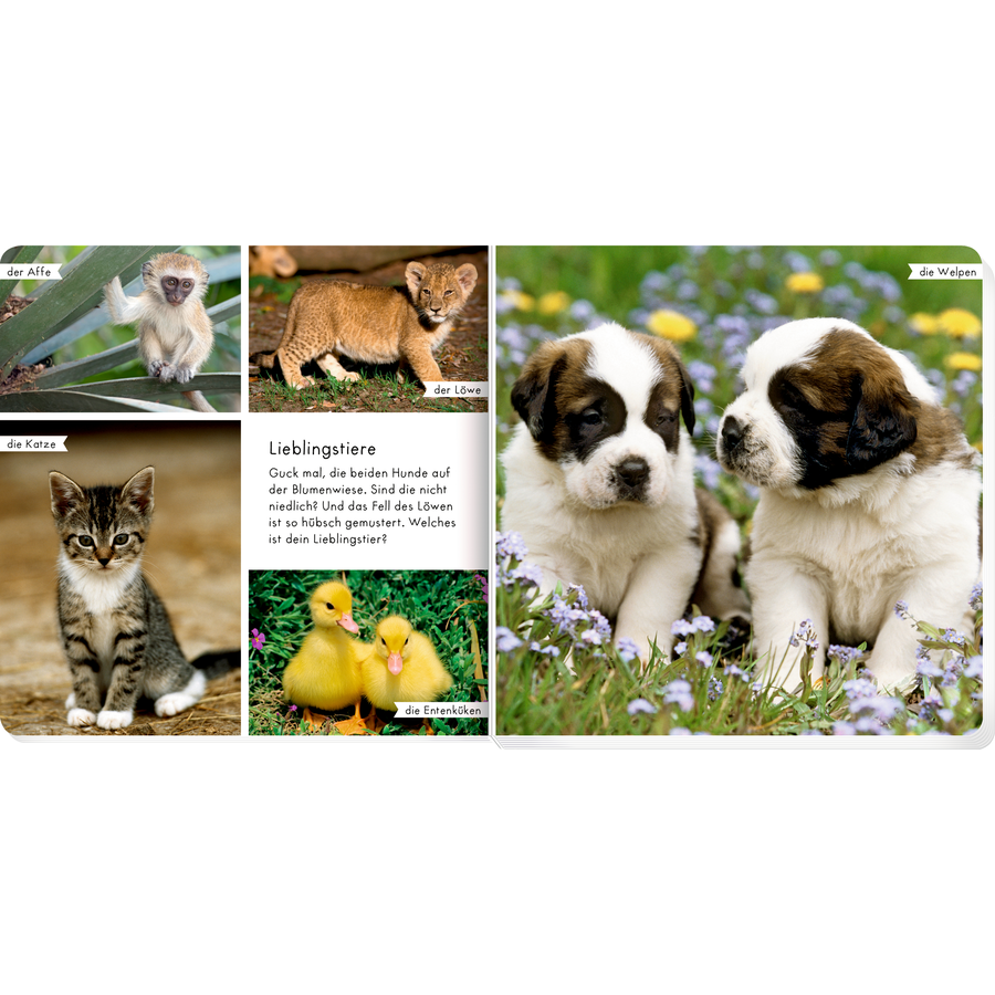 SPIEGELBURG COPPENRATH Meine liebsten Tierbabys