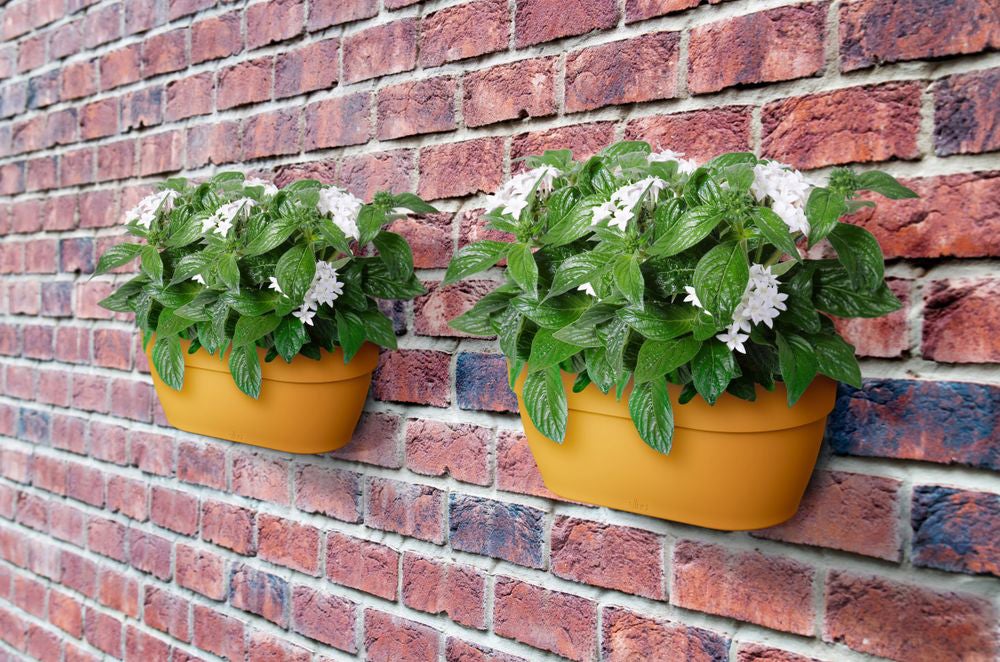 Elho muur plantenbak Vibia Campana geel 35 x 16,2 x 14,8 cm
