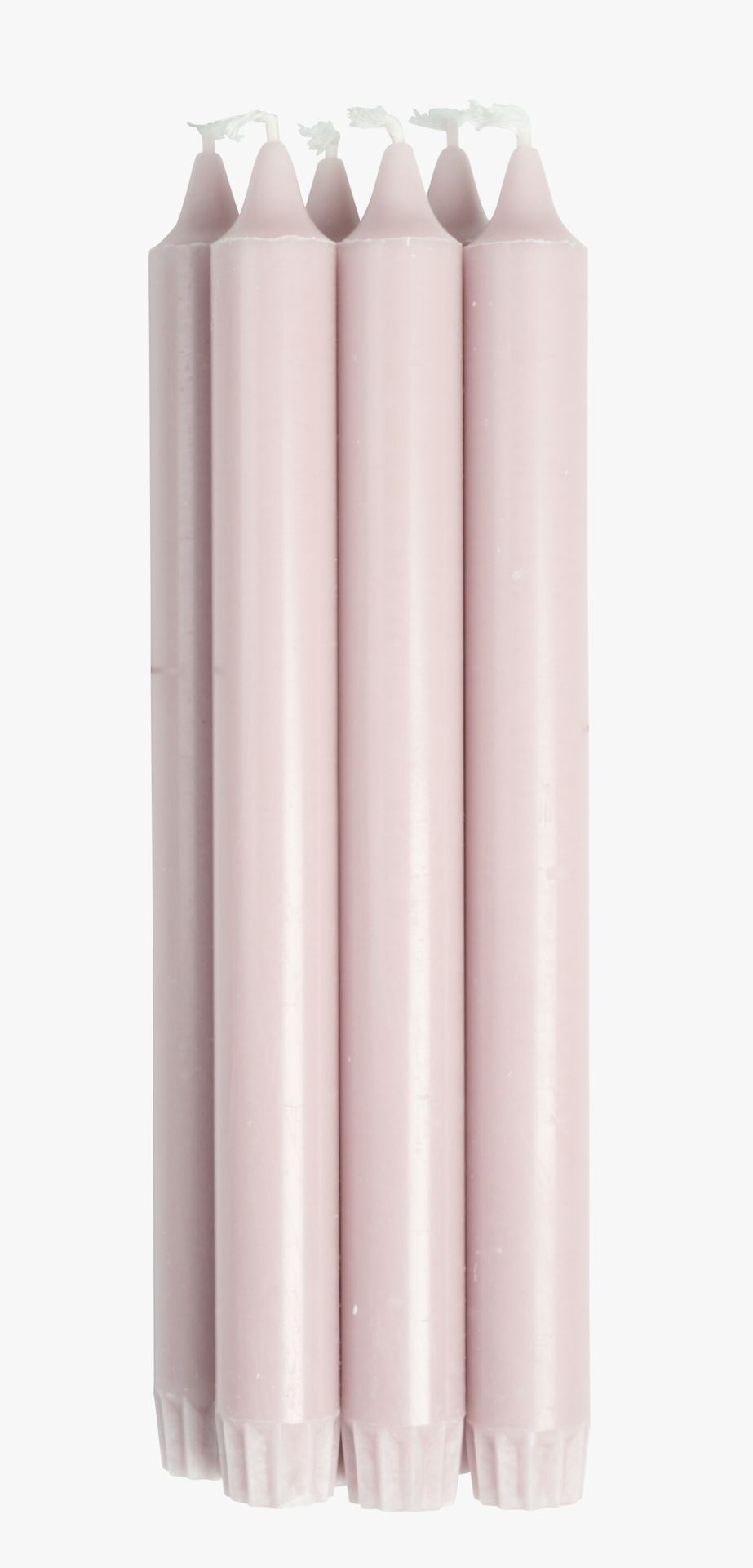 Kronelys engelsk rose - 24 cm