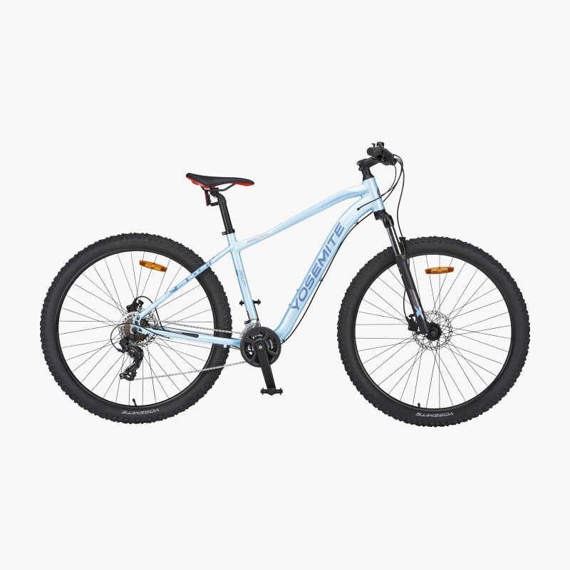 Mountainbike 29