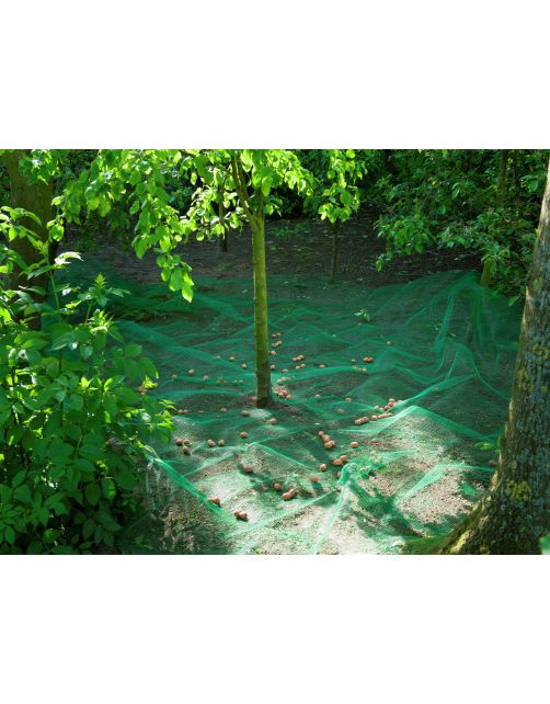 Nature Raapnet - Klim-En Geleide Artikel - 4.3x4.3 m Groen
