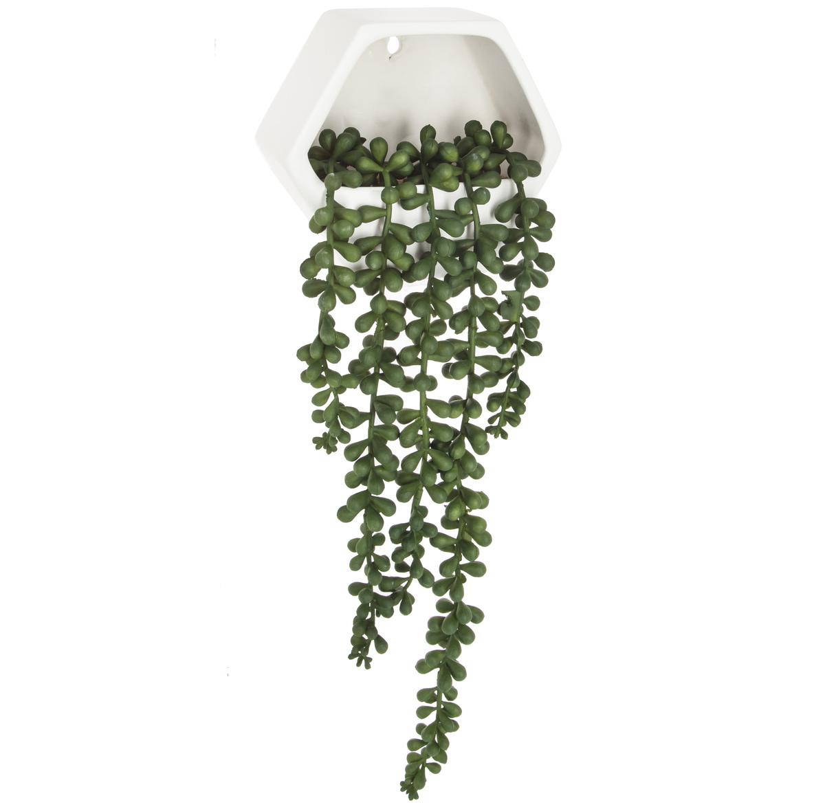 PLANTE TOMBANTE MURALE POT CERAMIQUE CONTEMPORAINE