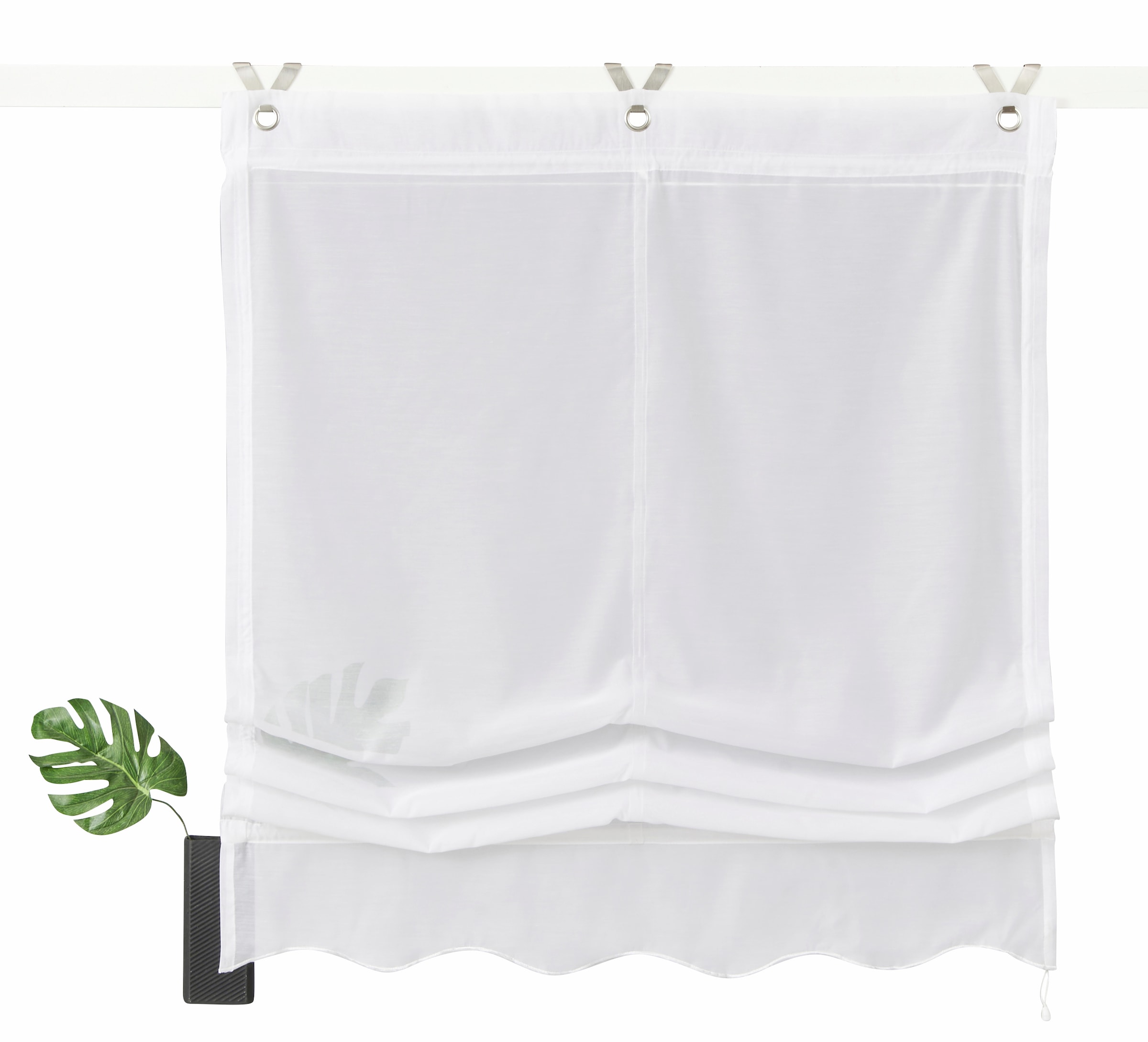 my home Raffrollo »Carpi« mit Hakenaufhängung ohne Bohren Transparent, Voile, Polyester