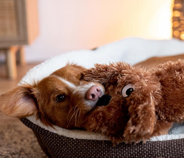 Nobby Hundespielzeug Plüschhund Schlapi