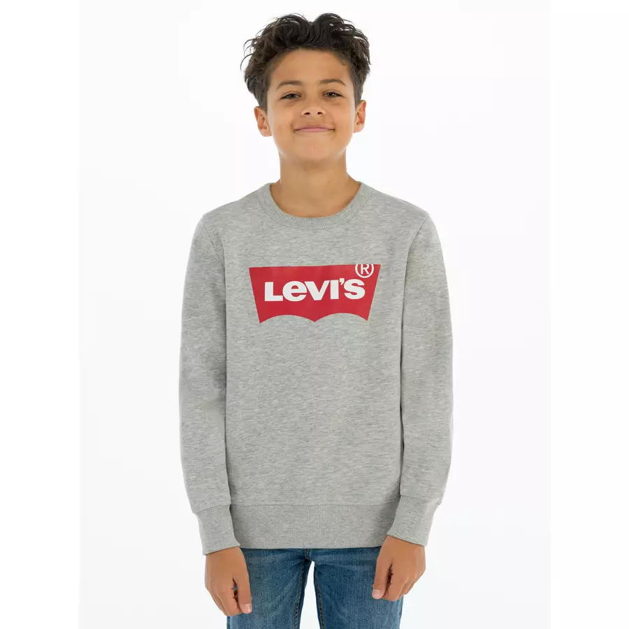 Levi's® Kids Boys Sweatshirt hellgrau