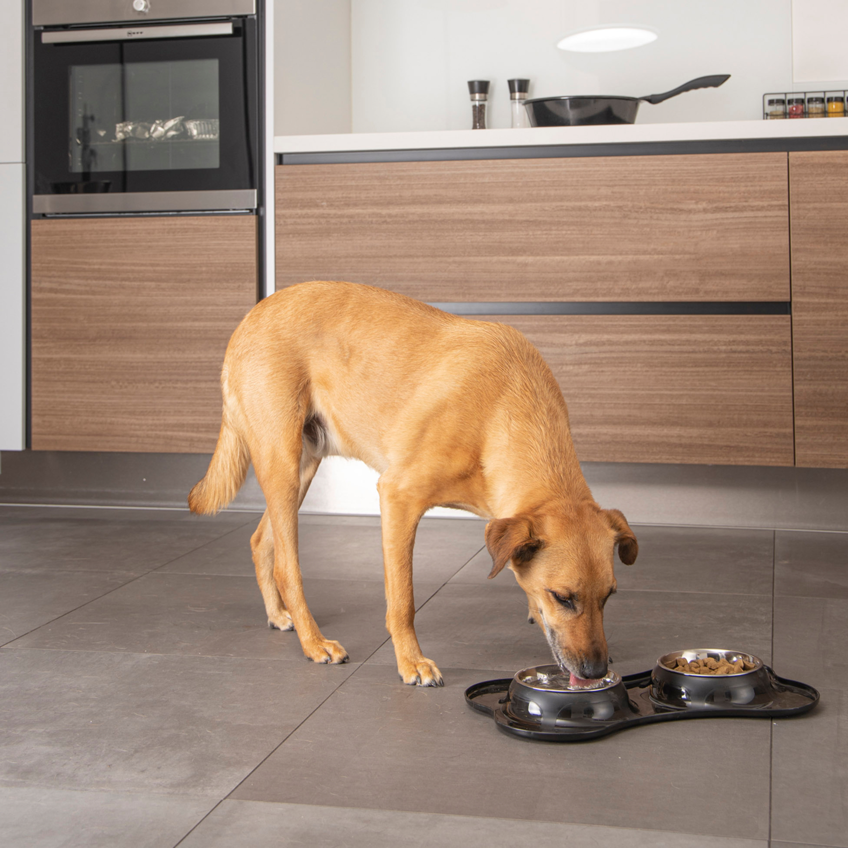 Double bol en inox forme os