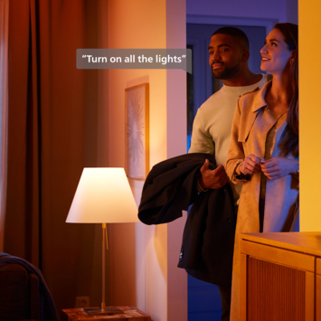 Philips Hue lichtsnoer Festivia 500 LED lampjes - 40m