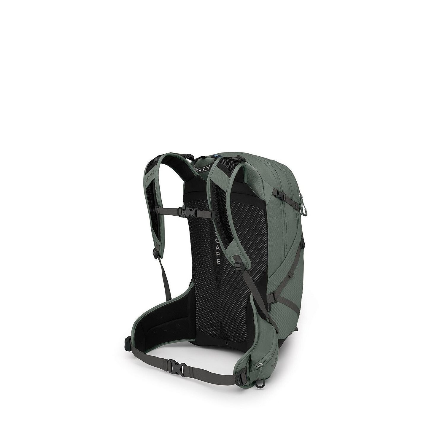 Osprey Sportlite 25 M-L pine leaf green