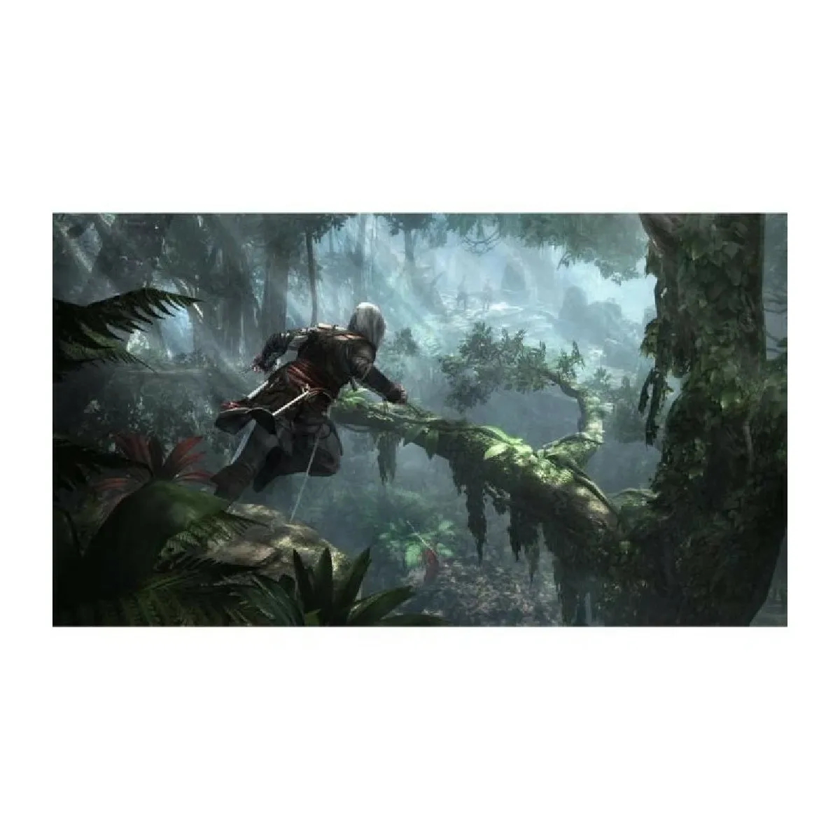 Ubisoft Assassin's Creed 4 Black Flag - PS4