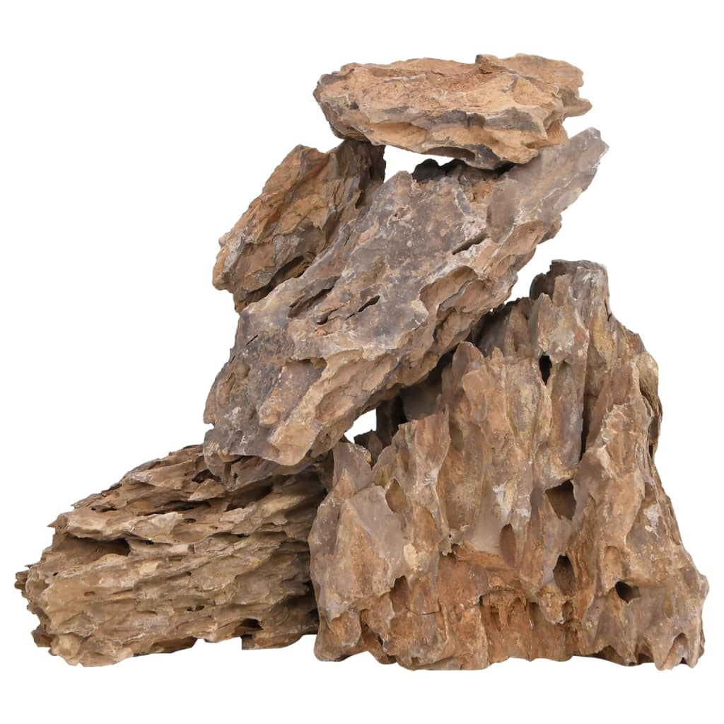 vidaXL Pedras de Dragão Cores Sortidas 10 kg 10-30 cm