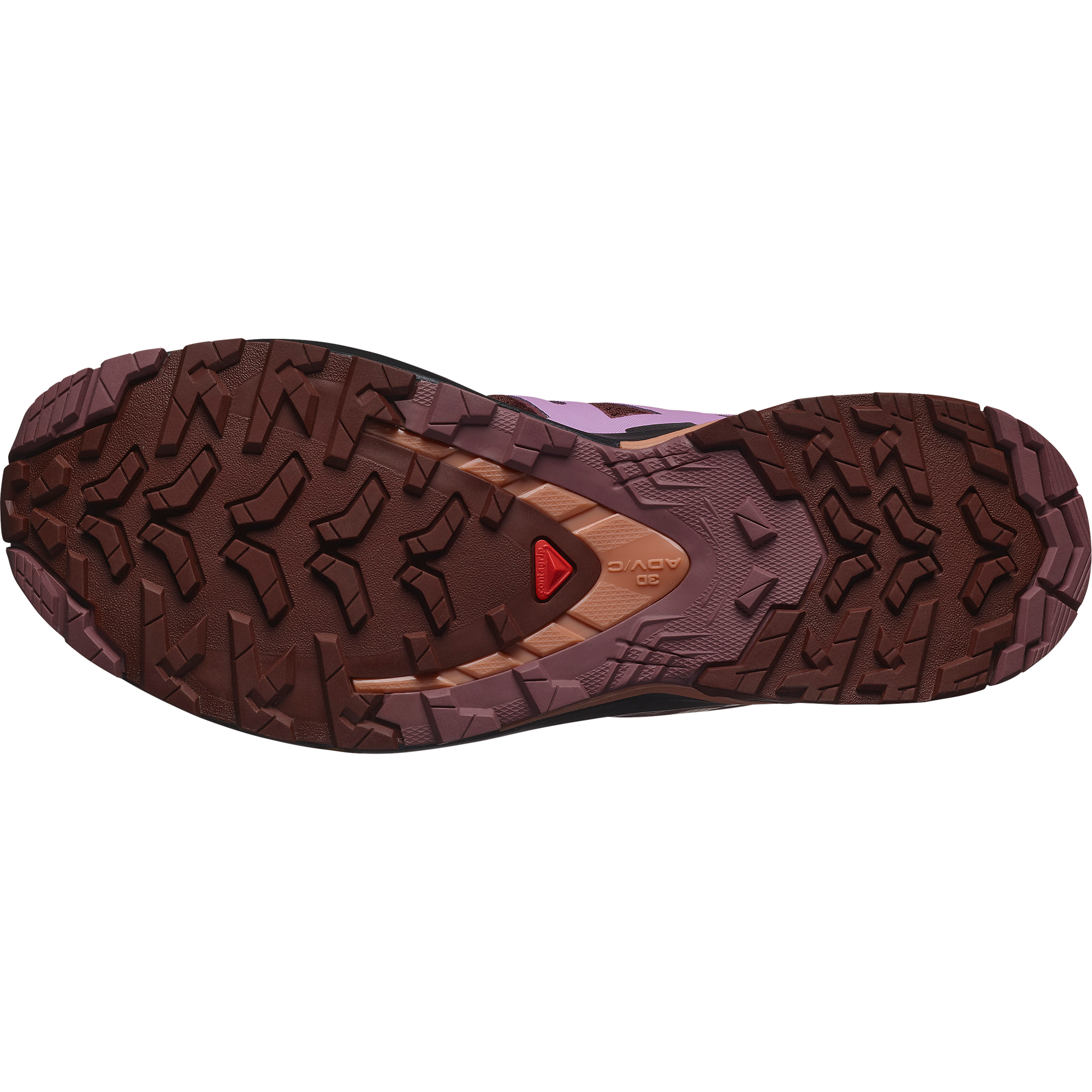 Salomon Trailrunningschuh »XA PRO 3D V9«