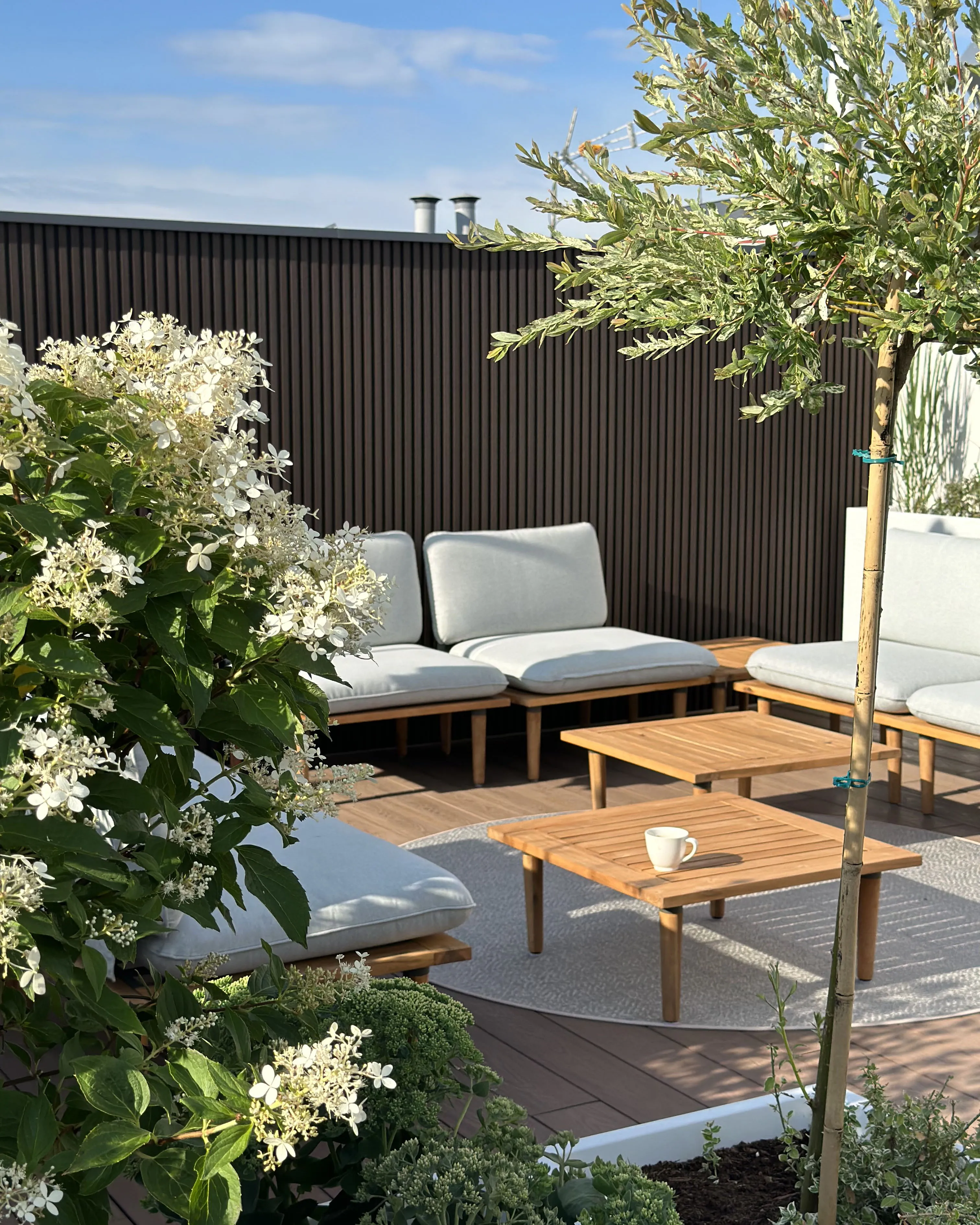 Loungeset met tafel 4-zits FRASCATI modulair Gecertificeerd acaciahout Lichtgrijs
