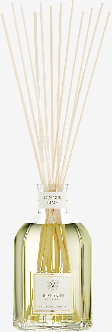 kleur n.v.t. dr. vranjes firenze geurstokjes ginger lime diffuser 500ml