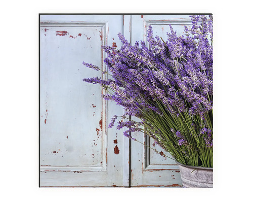 Keukenachterwand mySpotti Profix Vintage Lavendel 100 x 60 cm PX-10060-209-HB
