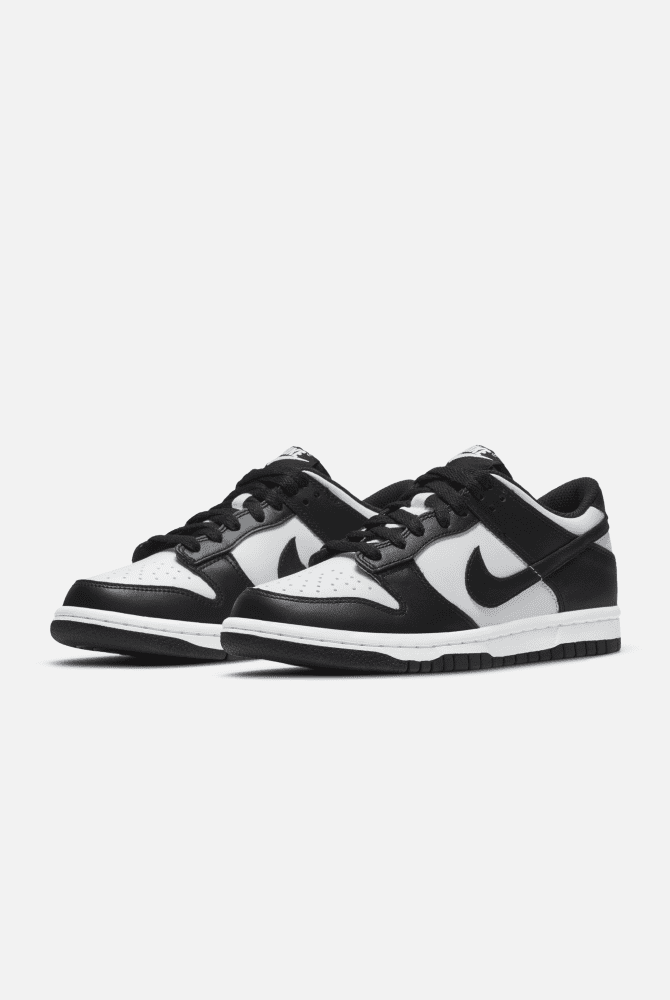 Nike Dunk Low Retro Men's Shoes