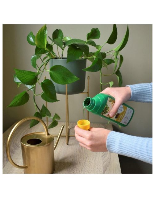 Pokon Kamerplantenvoeding - Meststoffen