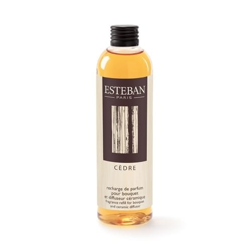Esteban - recharge pour bouquet et spher