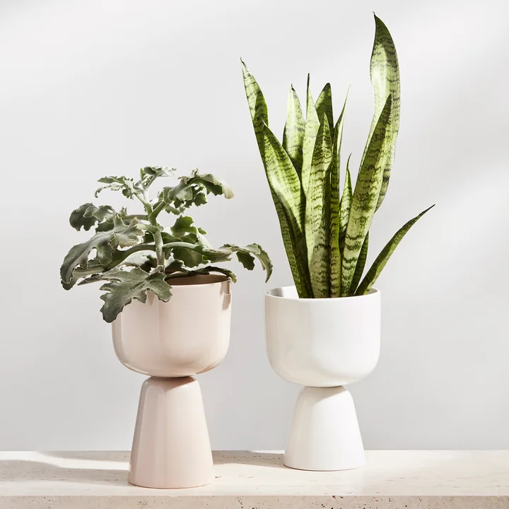 Iittala - Nappula Blumentopf, 230 x 155 mm, beige