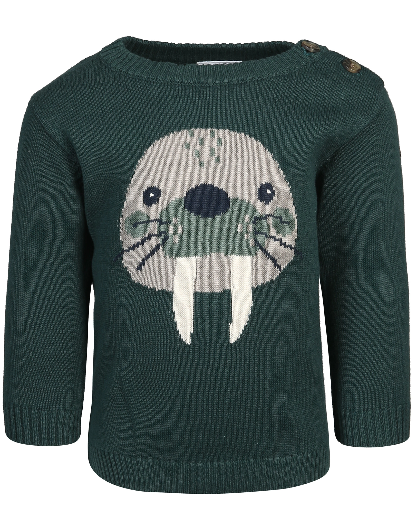 Strickpullover PILOU - WALRUS in avocado