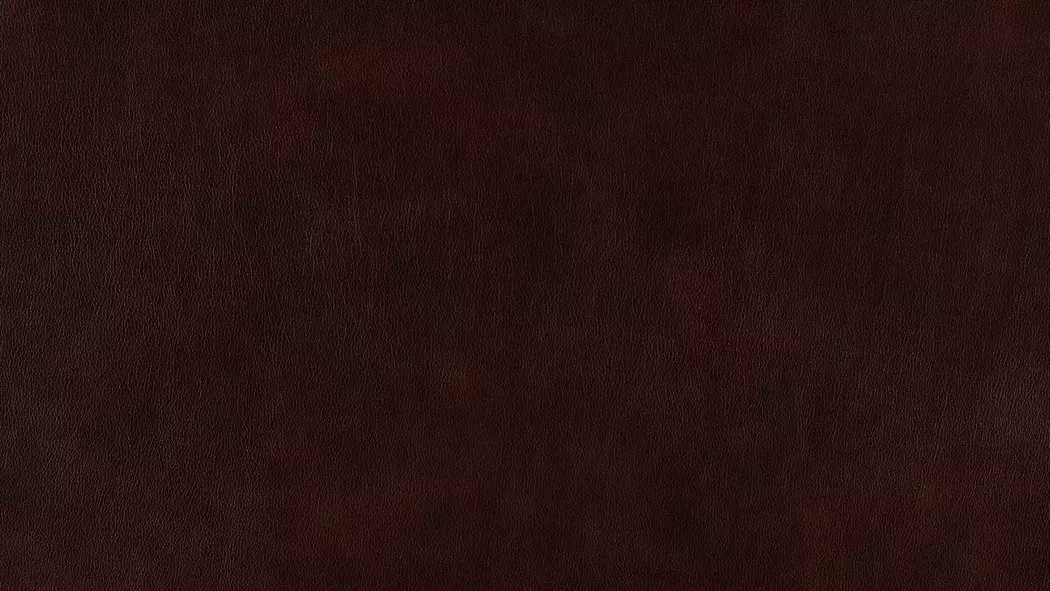 Sofa 24252 foscaari
