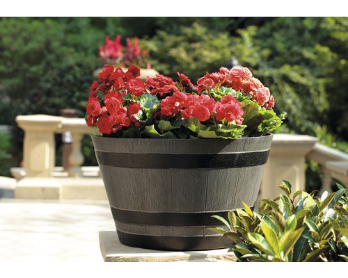 Lafiora Jasmine bloempot, H 31 cm, Ø 52 cm, taupe