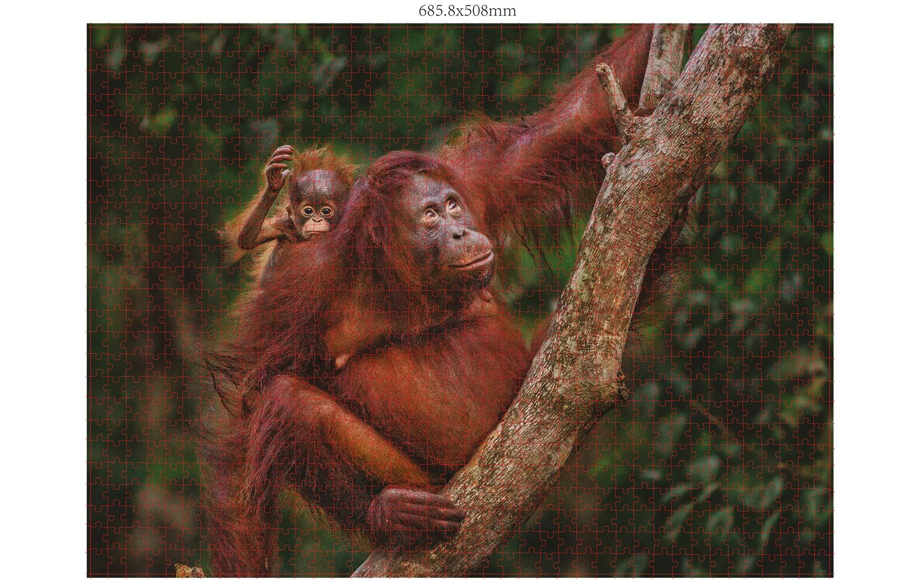 Puzzle Wildtier-FamilienPuzzle-Set für Erwachsene und Kinder