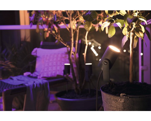 Philips hue LED Spot White & Color Ambiance 2000-6500K Lily Basic Set zwart - Compatibel met SMART HOME van hornbach