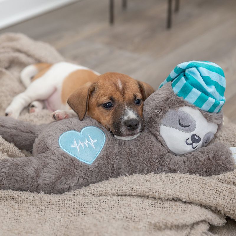 Jouet Trixie Junior Paresseux pour chiot