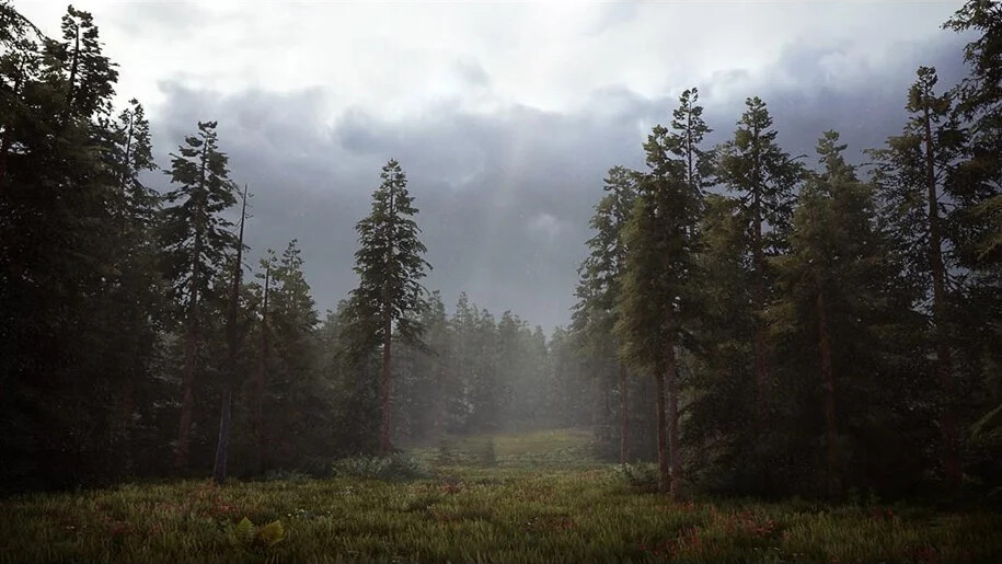 Hunting Simulator 2 - PS4