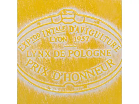 Panier en métal jaune 14.5x13x10.5